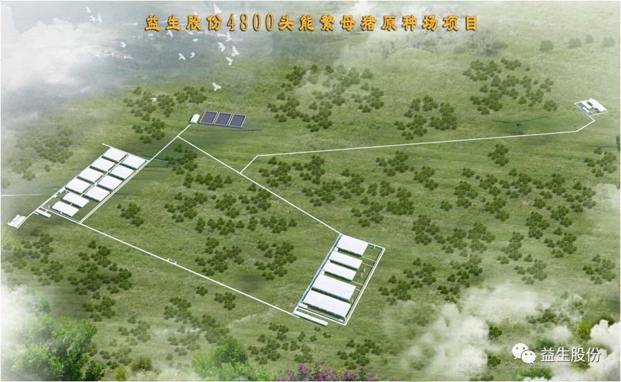 ��ϲѶ���������ǹ��ɶ� - �����ʵ���Ϸ��Ӫ�̹��������������޹�˾ԭ������������Ŀ����