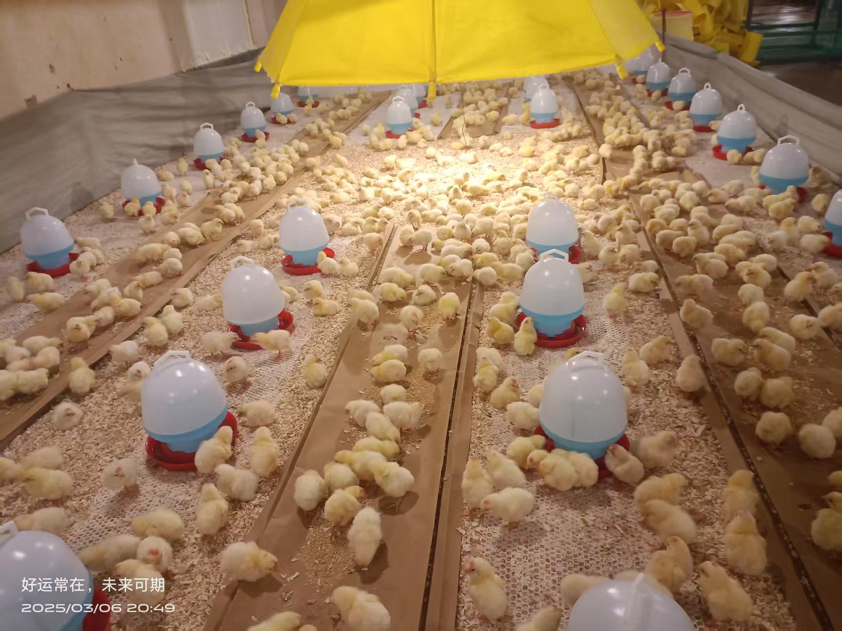 �����֡�ϲѶ���ǹ��ɶ� - �����ʵ���Ϸ��Ӫ�̹����ɷ��ֳɴӷ�����������������ּ�