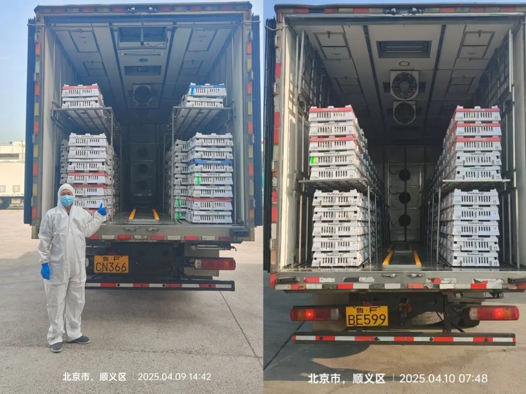 �����֡������ȷ�縺�������ʳ�徲�����Ρ����ǹ��ɶ� - �����ʵ���Ϸ��Ӫ�̹����ɷݵ����������˳������