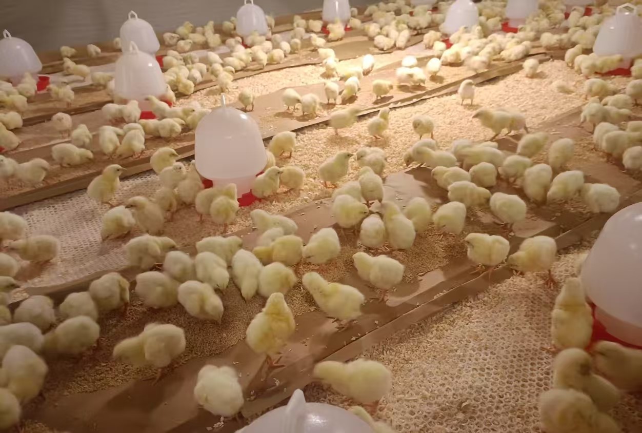 �����š�������������������������ǹ��ɶ� - �����ʵ���Ϸ��Ӫ�̹����ɷ�����1.4����������ּ�