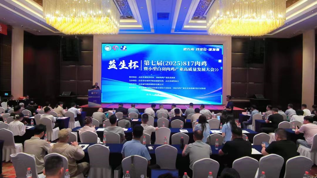 ���ۻ᡿�ǹ��ɶ� - �����ʵ���Ϸ��Ӫ�̹�����--���߽죨2025��817�⼦��С�Ͱ����⼦��ҵ��������������ڼ����ֳɾ���