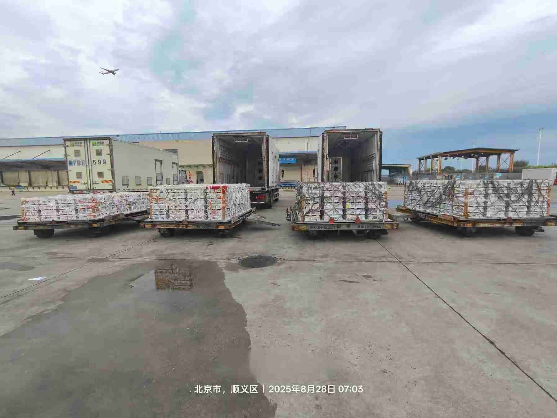 �����֡��ǹ��ɶ� - �����ʵ���Ϸ��Ӫ�̹����ɷ��������ͻ��16����������������ռ��59%�Ⱦ���ҵ��ͷ