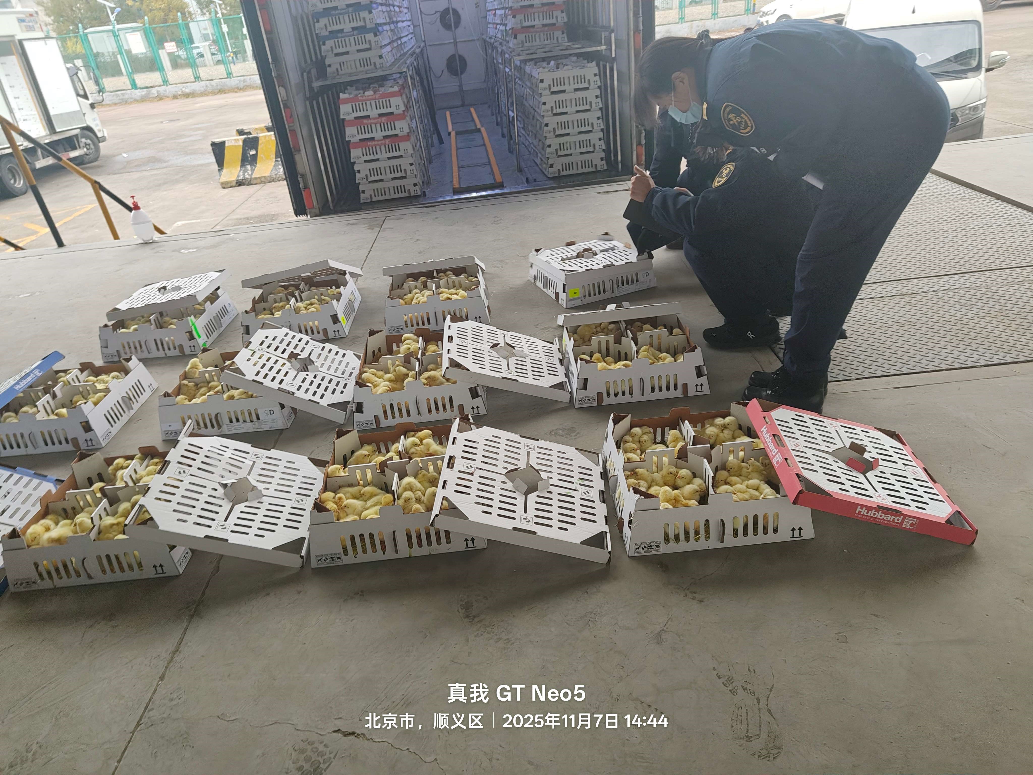 �����֡��ǹ��ɶ� - �����ʵ���Ϸ��Ӫ�̹����ɷ����ڵ�ʮ��������ּ�˳���뾳 �ۼ�����ռ���½���