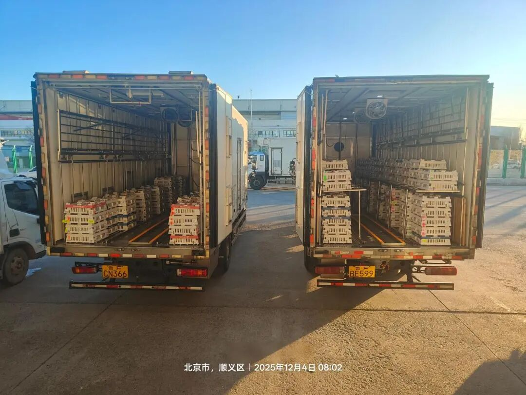 [���֡��ǹ��ɶ� - �����ʵ���Ϸ��Ӫ�̹����ɷ��ٶ�����������Դ������������������ͷְλ�ο����ܹ�ҵ�ȹ�